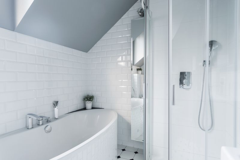 Bathroom Modification in Bradenton, FL